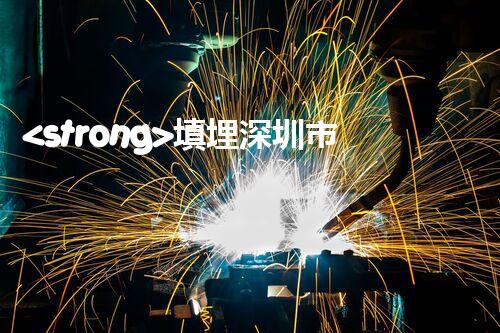 <strong>填埋深圳市危險(xiǎn)廢物處理站有限公司化工設(shè)施安全解體：如何高效處理復(fù)雜工業(yè)遺留問題？</strong>